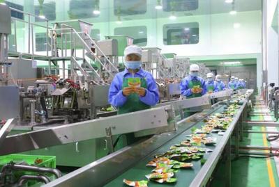 稅費“退減緩” 穩崗就業惠民生